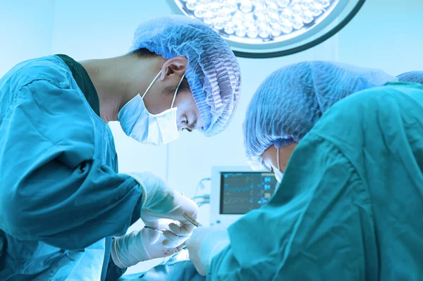 Dois cirurgiões veterinários na sala de operações — Fotografia de Stock