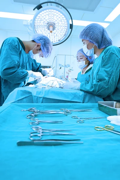 Groupe de chirurgie vétérinaire en salle d'opération Photos De Stock Libres De Droits