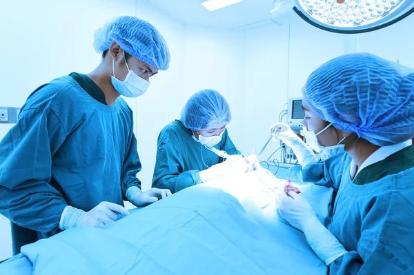 Groupe de chirurgie vétérinaire en salle d'opération — Photo