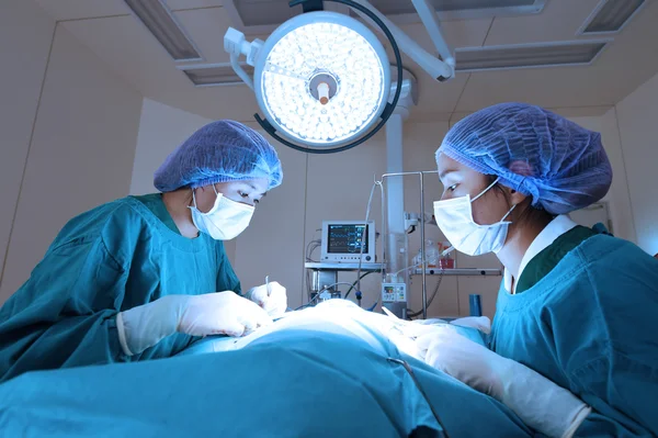 Two veterinarian surgeons in operating room — Stock Photo, Image