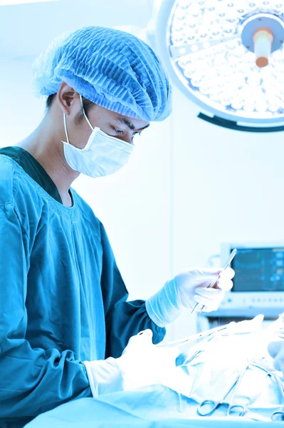 Veterinarian surgery in operation room — Stock Photo, Image