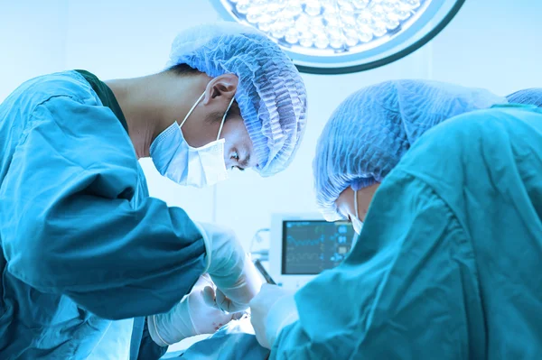 Dwóch lekarzy weterynarii na sali operacyjnej — Zdjęcie stockowe
