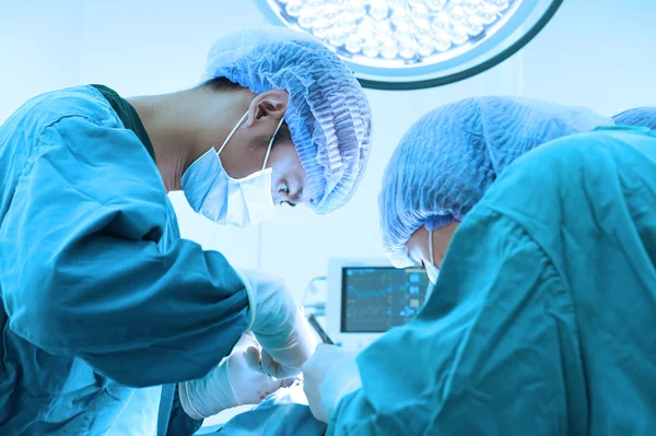 Dois cirurgiões veterinários na sala de operações — Fotografia de Stock