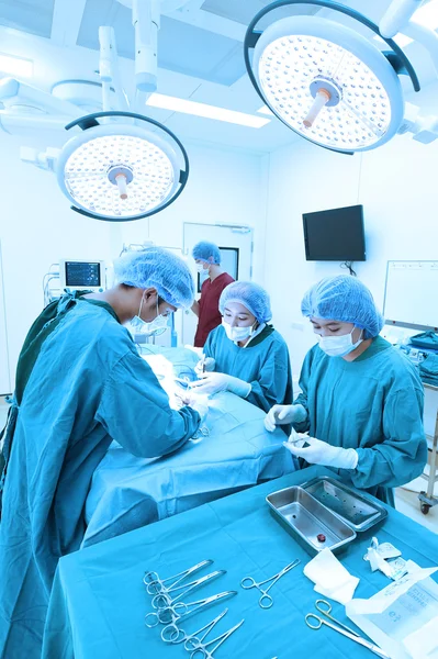 Groep van dierenarts chirurgie in operatie kamer — Stockfoto