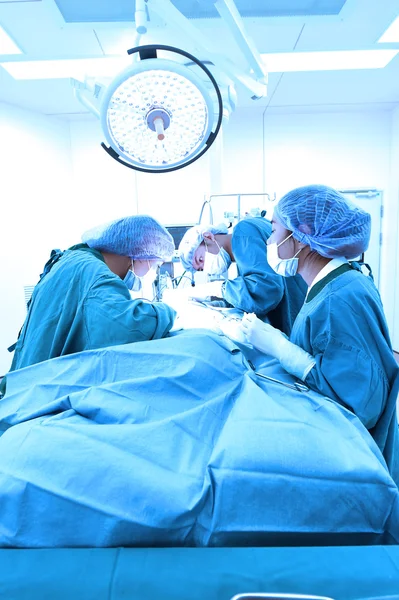 Groupe de chirurgie vétérinaire en salle d'opération — Photo