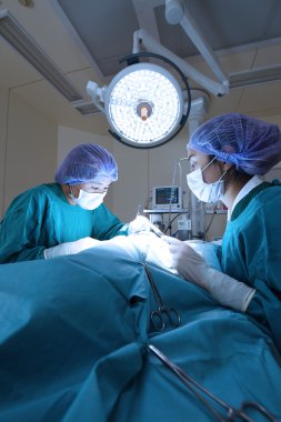 Ameliyathanede iki veteriner cerrah var.