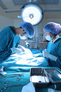 Ameliyathanede iki veteriner cerrah var.