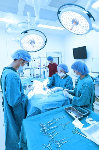 Groep van dierenarts chirurgie in operatie kamer — Stockfoto