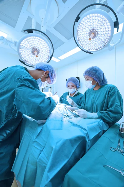 Grupo de cirurgia veterinária na sala de operação — Fotografia de Stock