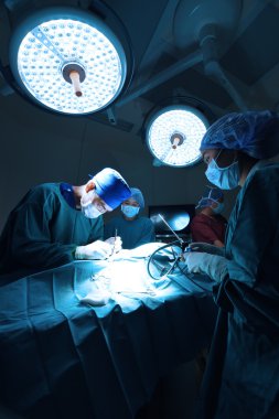 Veteriner Doktor için operasyon odasında grup Laparoskopik cerrahi