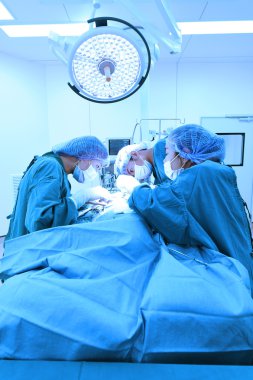 Veteriner Cerrahi operasyon odasında grup