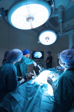 Veteriner Doktor için operasyon odasında grup Laparoskopik cerrahi