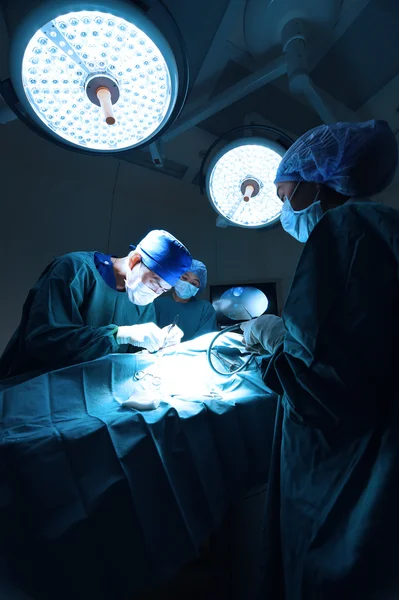 兽医医生在手术室为组腹腔镜手术 — 图库照片