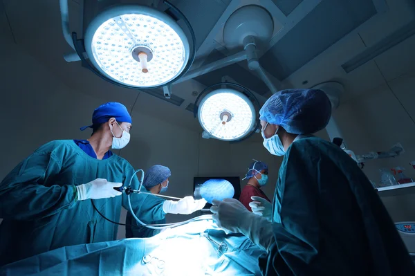 Group of veterinarian doctor in operation room for laparoscopic surgical — Stock Photo, Image