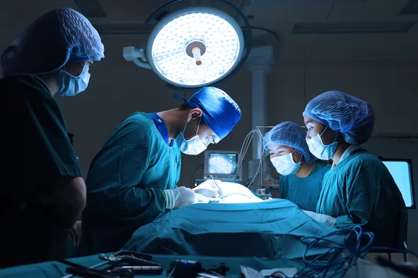 Grupo de médico veterinário na sala de operação para cirurgia laparoscópica — Fotografia de Stock