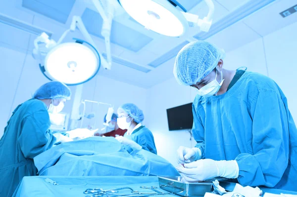 Group of veterinarian surgery in operation room — Stock Photo, Image