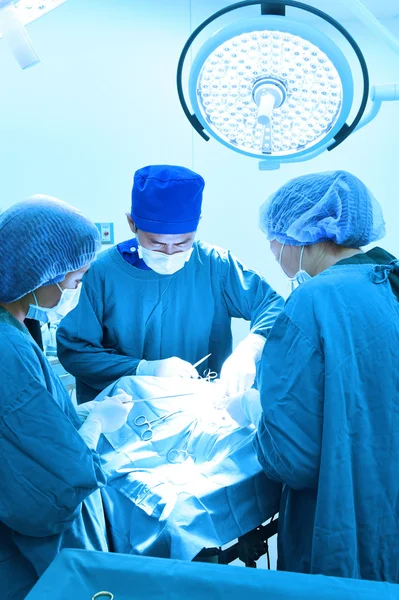 Grupo de cirurgia veterinária na sala de operação — Fotografia de Stock