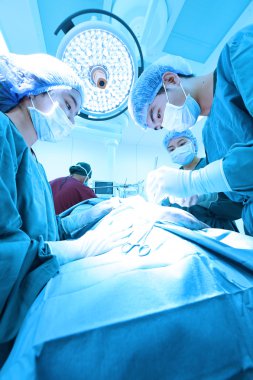 Veteriner Cerrahi operasyon odasında grup