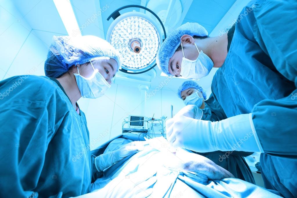 group of veterinarian surgery in operation room