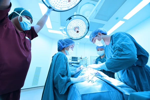 Group of veterinarian surgery in operation room — Stock Photo, Image