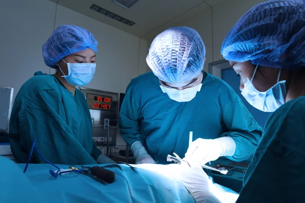 Grupo de cirurgia veterinária na sala de operação — Fotografia de Stock