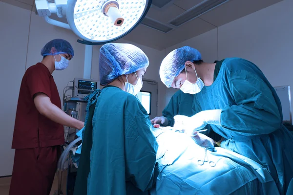 Grupo de cirurgia veterinária na sala de operação — Fotografia de Stock