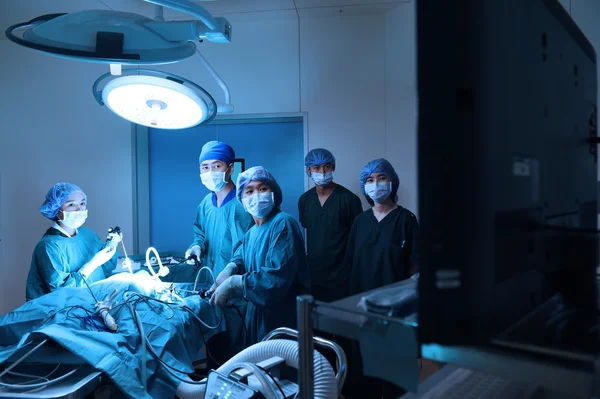 Grupo de médico veterinário na sala de operação para cirurgia laparoscópica — Fotografia de Stock