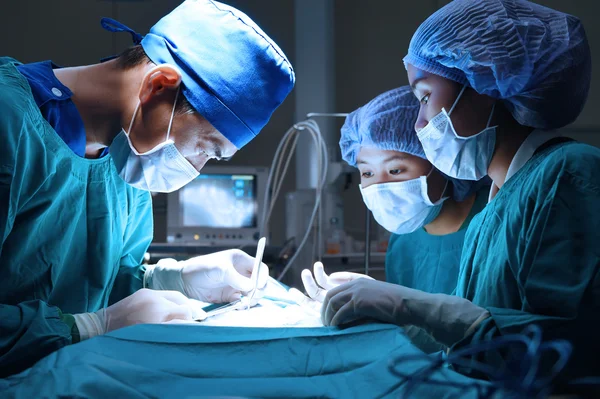 Grupo de médicos veterinarios en quirófano para cirugía laparoscópica —  Fotos de Stock