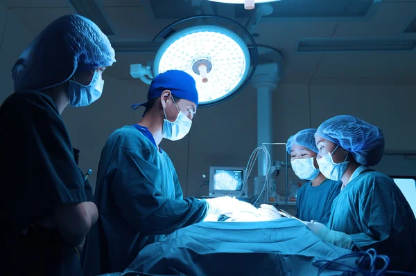 Veteriner Doktor için operasyon odasında grup Laparoskopik cerrahi