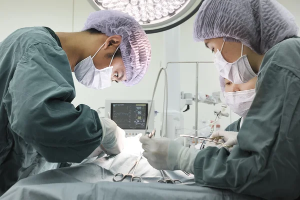 Grupo de cirurgia veterinária na sala de operação — Fotografia de Stock