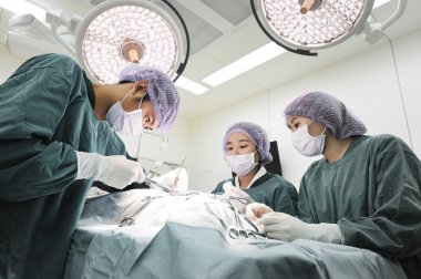 Veteriner Cerrahi operasyon odasında grup