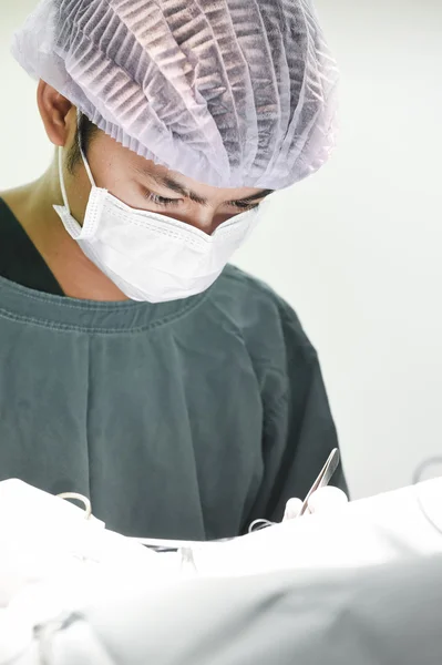 Cirugía veterinaria en sala de operaciones — Foto de Stock