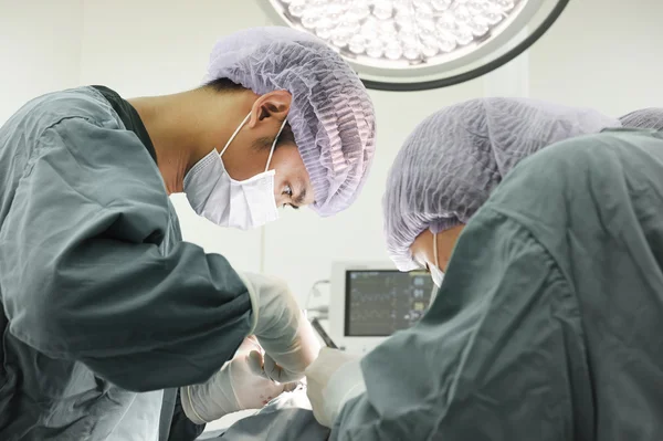 Dois cirurgiões veterinários na sala de operações — Fotografia de Stock