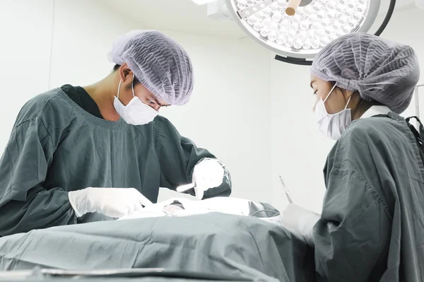 Two veterinarian surgeons in operating room — Stock Photo, Image