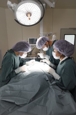 Veteriner Cerrahi operasyon odasında grup