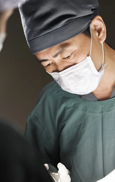 Cirurgia veterinária na sala de operação — Fotografia de Stock