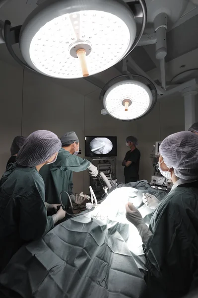 Grupo de médico veterinário na sala de operação para cirurgia laparoscópica — Fotografia de Stock