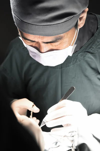 Veterinarian surgery in operation room — Stock Photo, Image