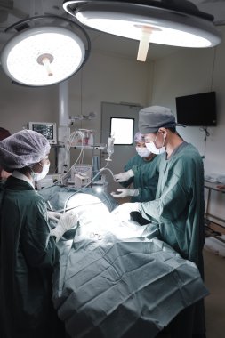 Veteriner Doktor için operasyon odasında grup Laparoskopik cerrahi