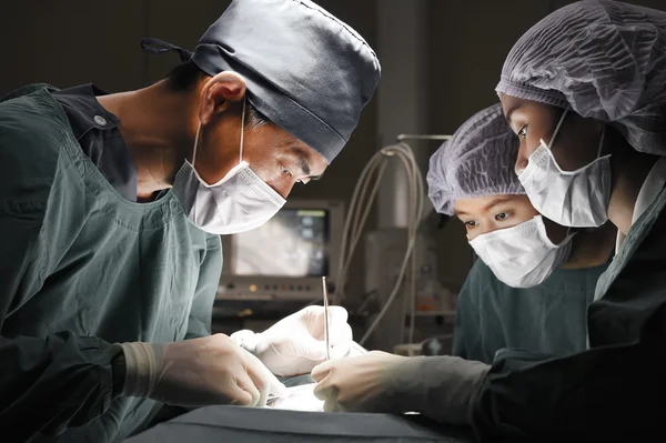 Grupo de médicos veterinarios en quirófano para cirugía laparoscópica — Foto de Stock