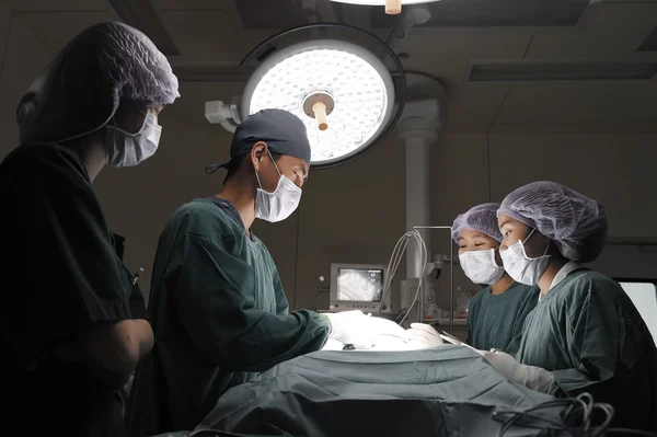 Groupe de médecin vétérinaire en salle d'opération pour chirurgie laparoscopique — Photo