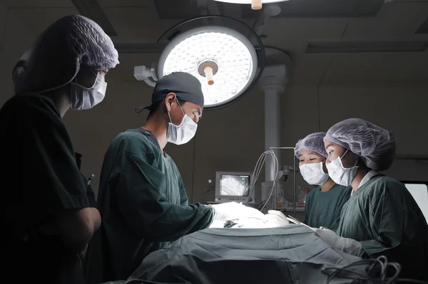 Gruppe von Tierärzten im Operationssaal für laparoskopische Chirurgie — Stockfoto