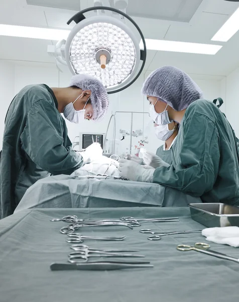 Groep van dierenarts chirurgie in operatie kamer — Stockfoto