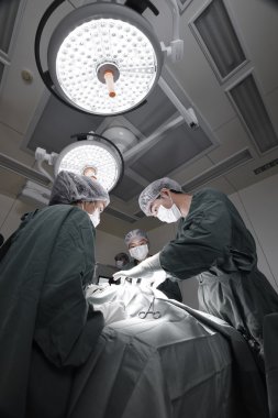 Veteriner Cerrahi operasyon odasında grup seçmeli renk tekniği ve aydınlatma sanat ile alıyorum