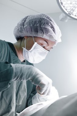 Veteriner Cerrahi operasyon odasında