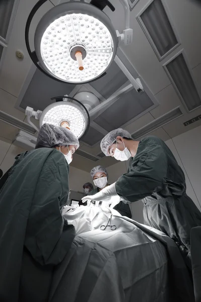 Grupo de cirurgia veterinária na sala de operação tomar com técnica de cor seletiva e iluminação de arte — Fotografia de Stock