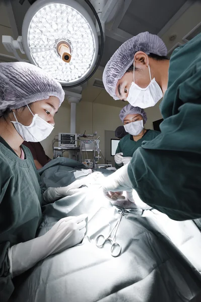 Groupe de chirurgie vétérinaire en salle d'opération prendre avec la technique de couleur sélective et l'éclairage d'art — Photo