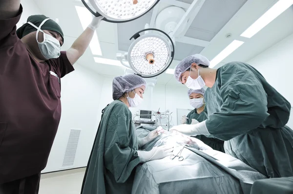 Groep van dierenarts chirurgie in operatie kamer — Stockfoto