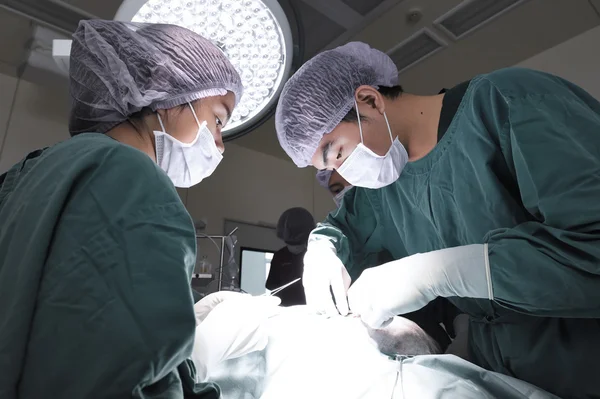 Groep van dierenarts chirurgie in operatie kamer — Stockfoto