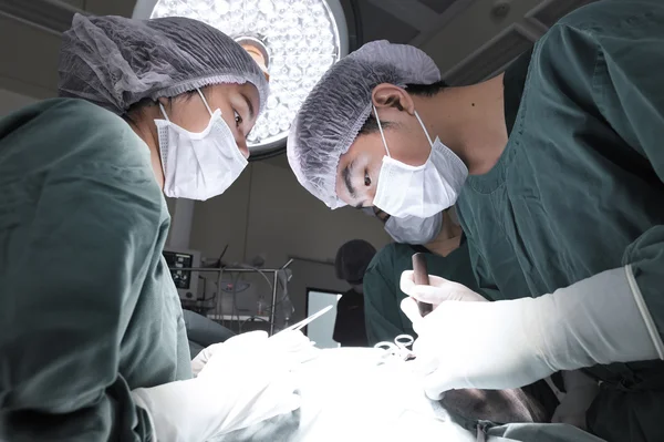Gruppo di chirurgia veterinaria in sala operatoria — Foto Stock